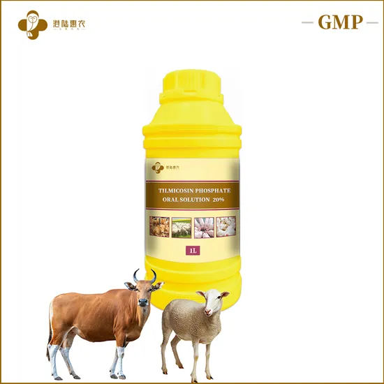Shanghai Ganglu Huinong Biotechnology Veterinary Medicine Tilmicosin Phosphate Oral Solution 20% 25% Veterinary Pharmaceutical for Chicken Poultry